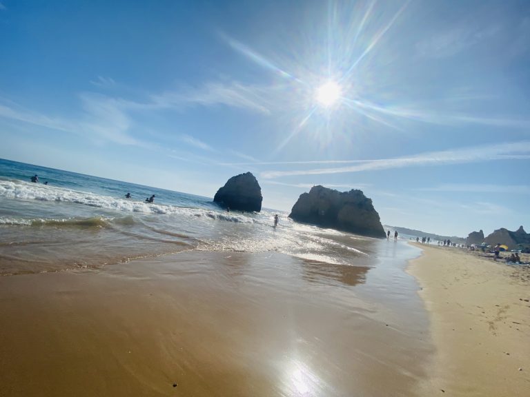 dona ana 3