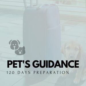 PET'S GUIDANCE